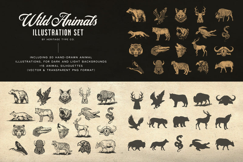 Wild Animals - Illustration Set - HTC GmbH