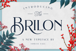 Brilon Font + Extras - HTC GmbH