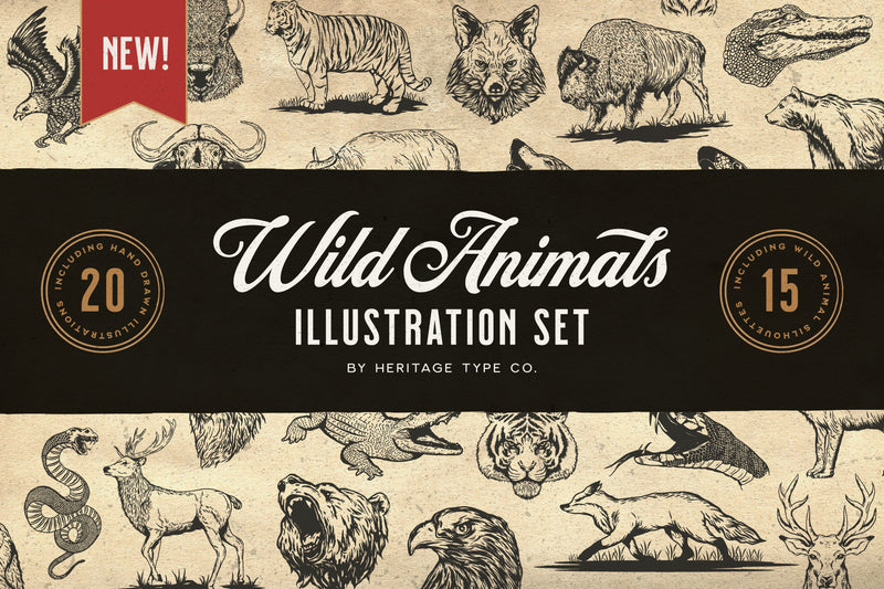 The Heritage Illustration Bundle