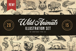 Wild Animals - Illustration Set - HTC GmbH