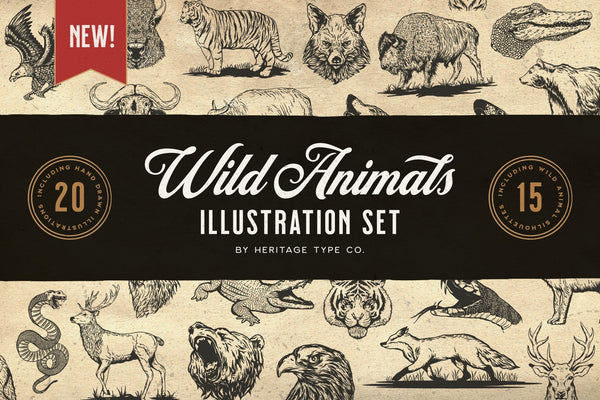 Wild Animals - Illustration Set - HTC GmbH
