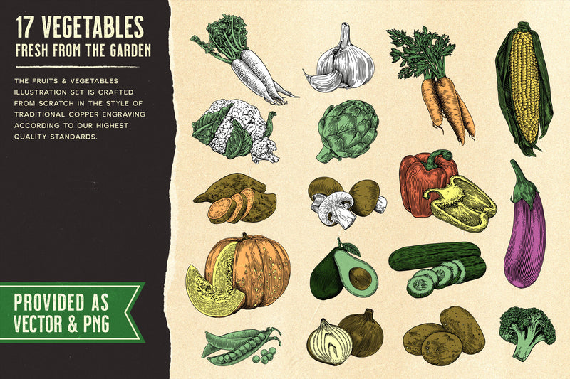 Fruits and Vegetables - Vector Illustration Set