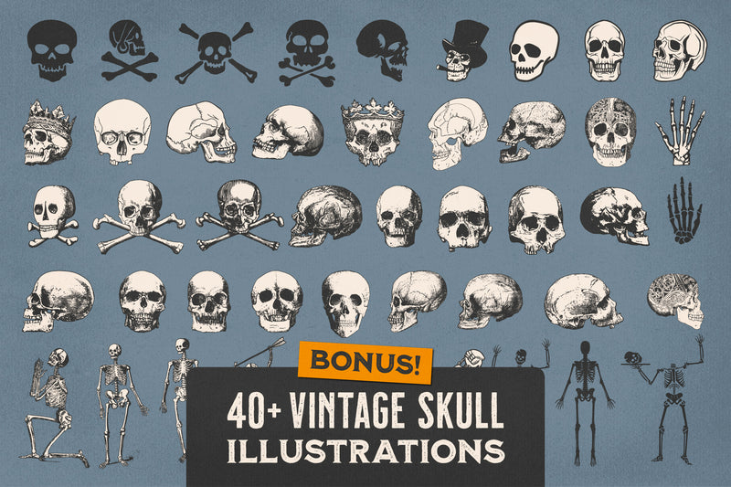 The Heritage Illustration Bundle