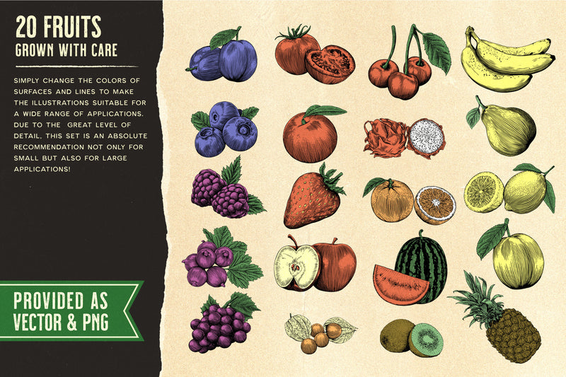 Fruits and Vegetables - Vector Illustration Set