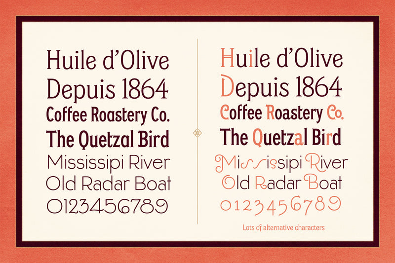 Classic Fonts and Illustration Bundle