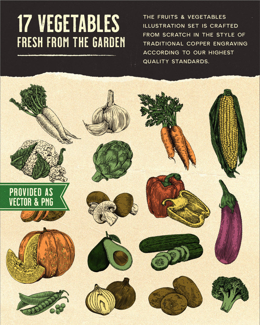 Agricultural Plants Collection Legume Crops Drawing Stock Vector (Royalty  Free) 1415571722 | Shutterstock, image size:1000x1250